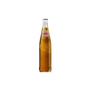 sidral mundet 500ml
