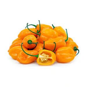chile habanero result