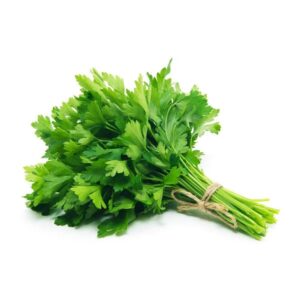cilantro result
